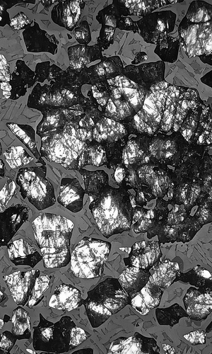 Pallasite Slice