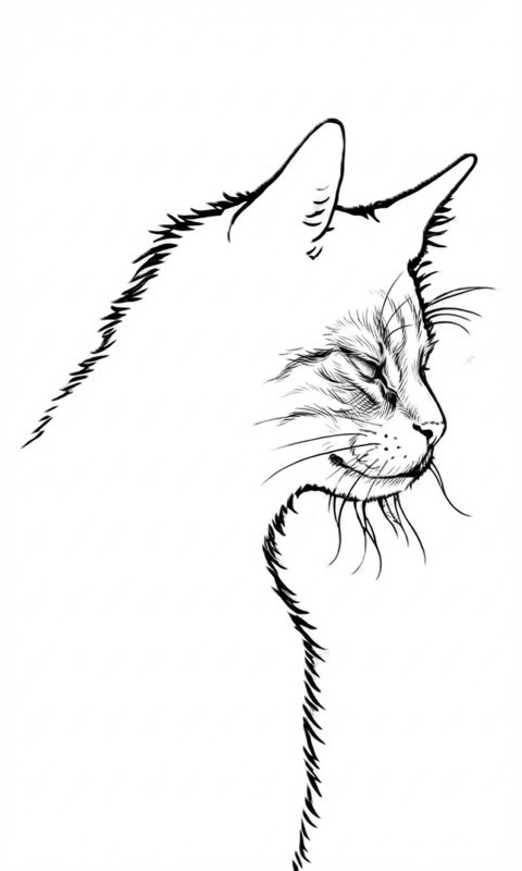 Batcat