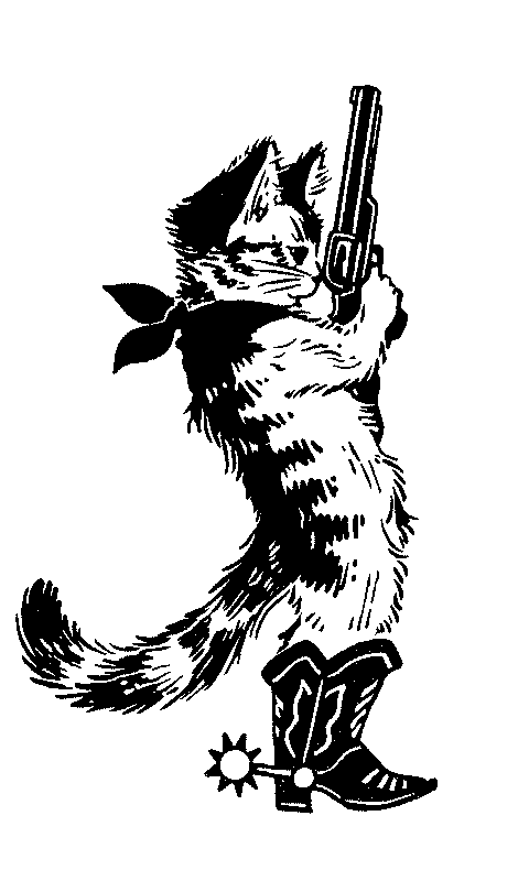 Cowboy Cat