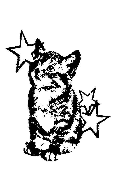 Star Cat