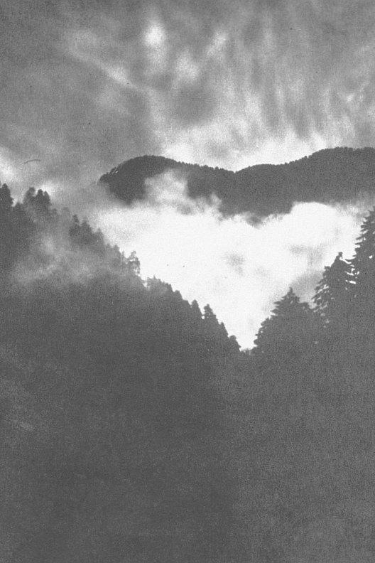 Bald Mountain