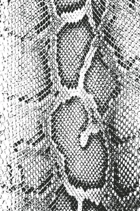 snake skin