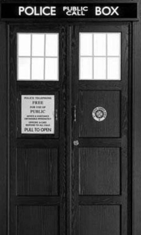 TARDIS Doors