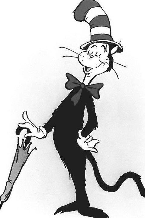 Cat in Hat 01