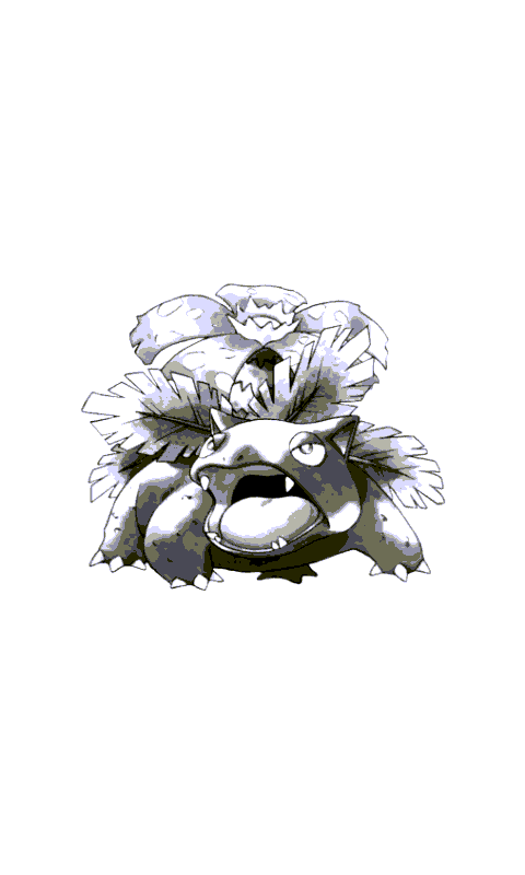 Venusaur - 1998 Illustration