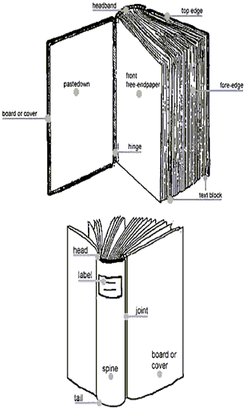 Anatomy of a Book