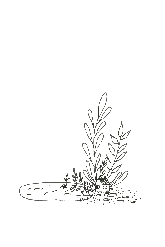 tiny house lake