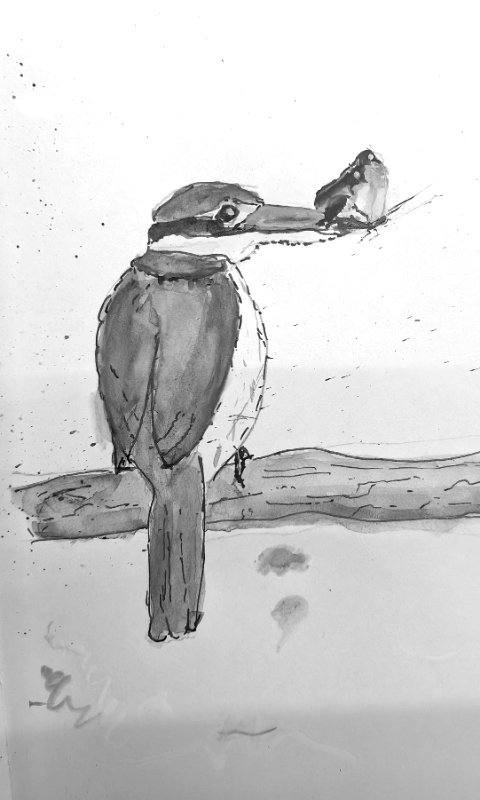 Bird