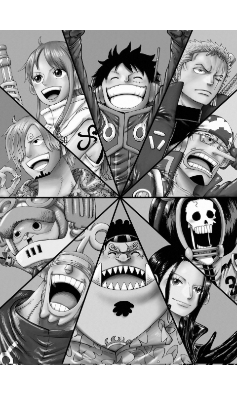 Strawhat Crew