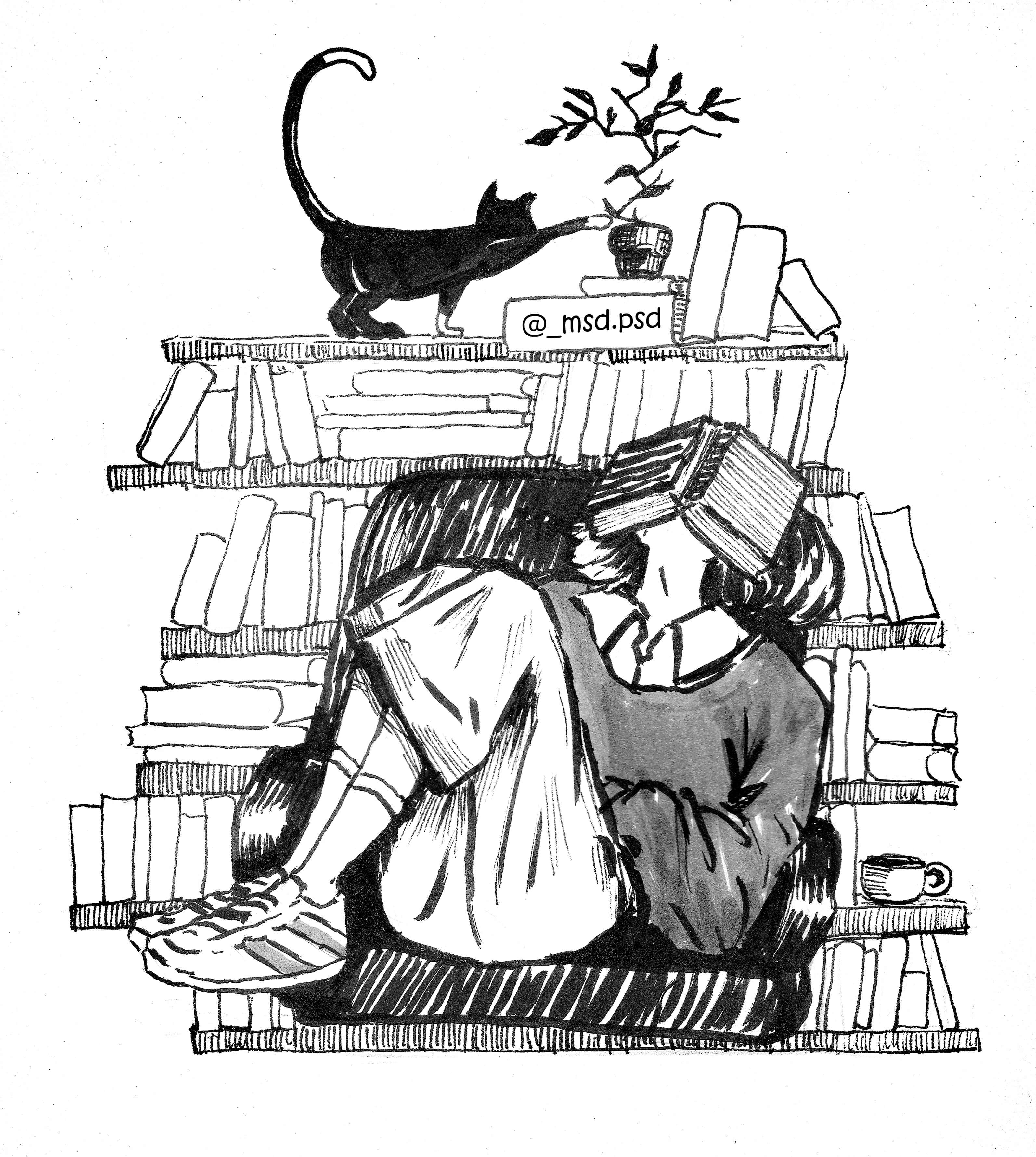 Cat Bookshelf